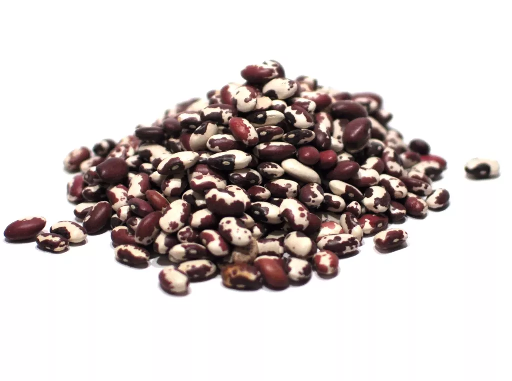 Anasazi Beans (Heirloom)