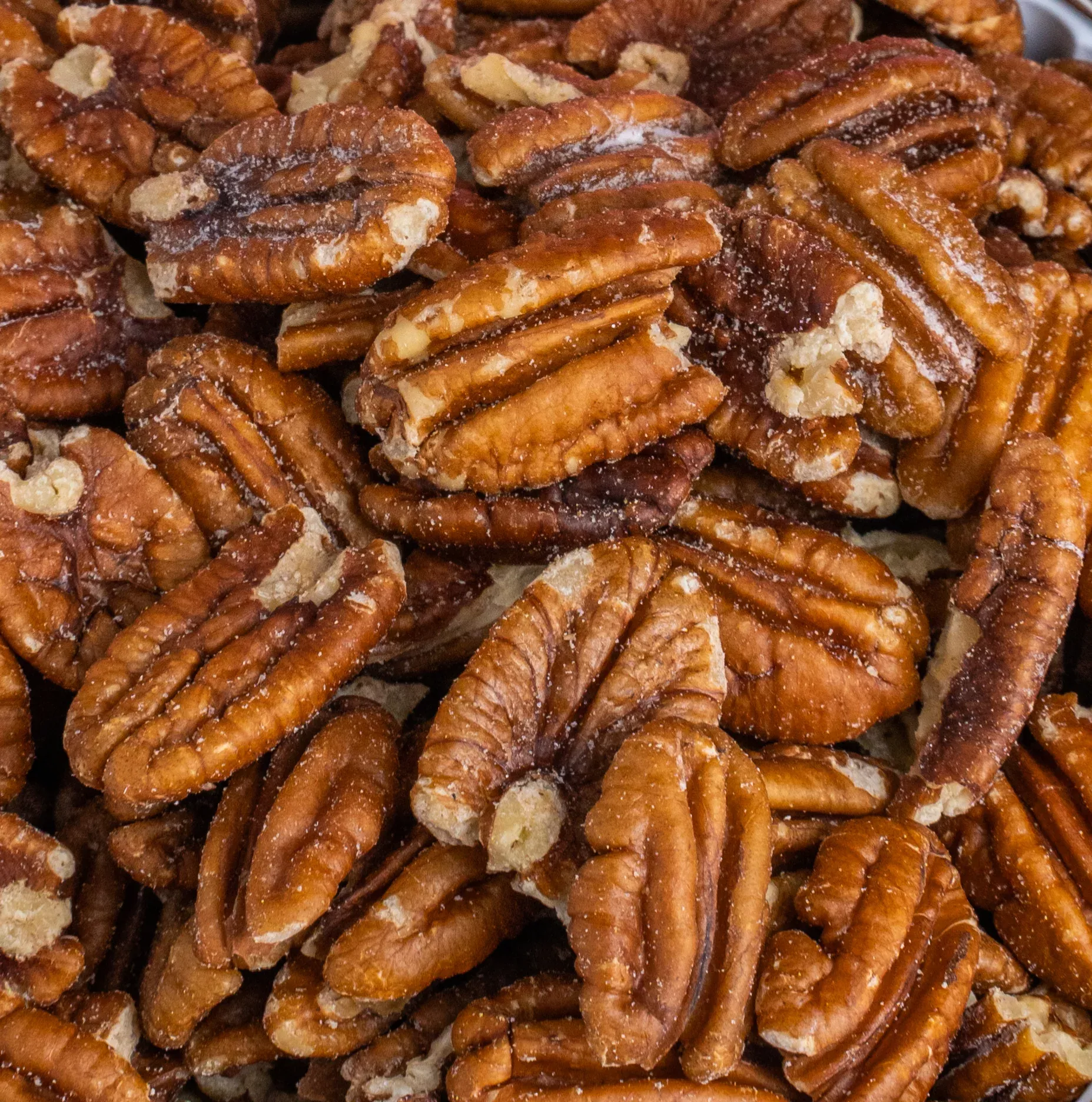 Bulk Roasted & Salted