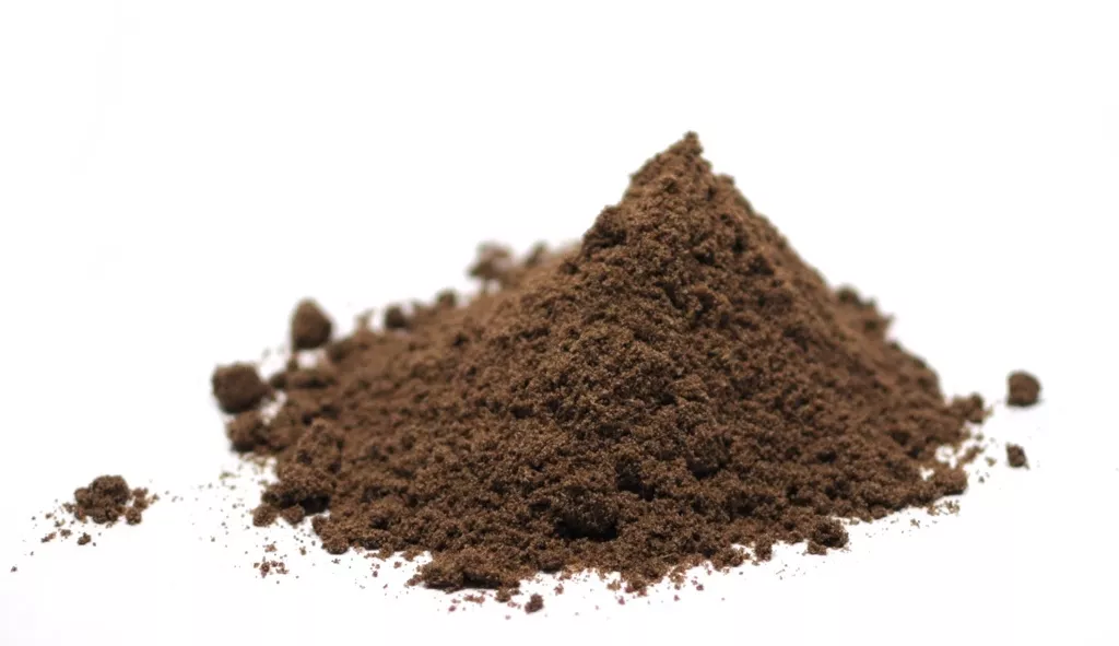 Caraway Seed, Powder