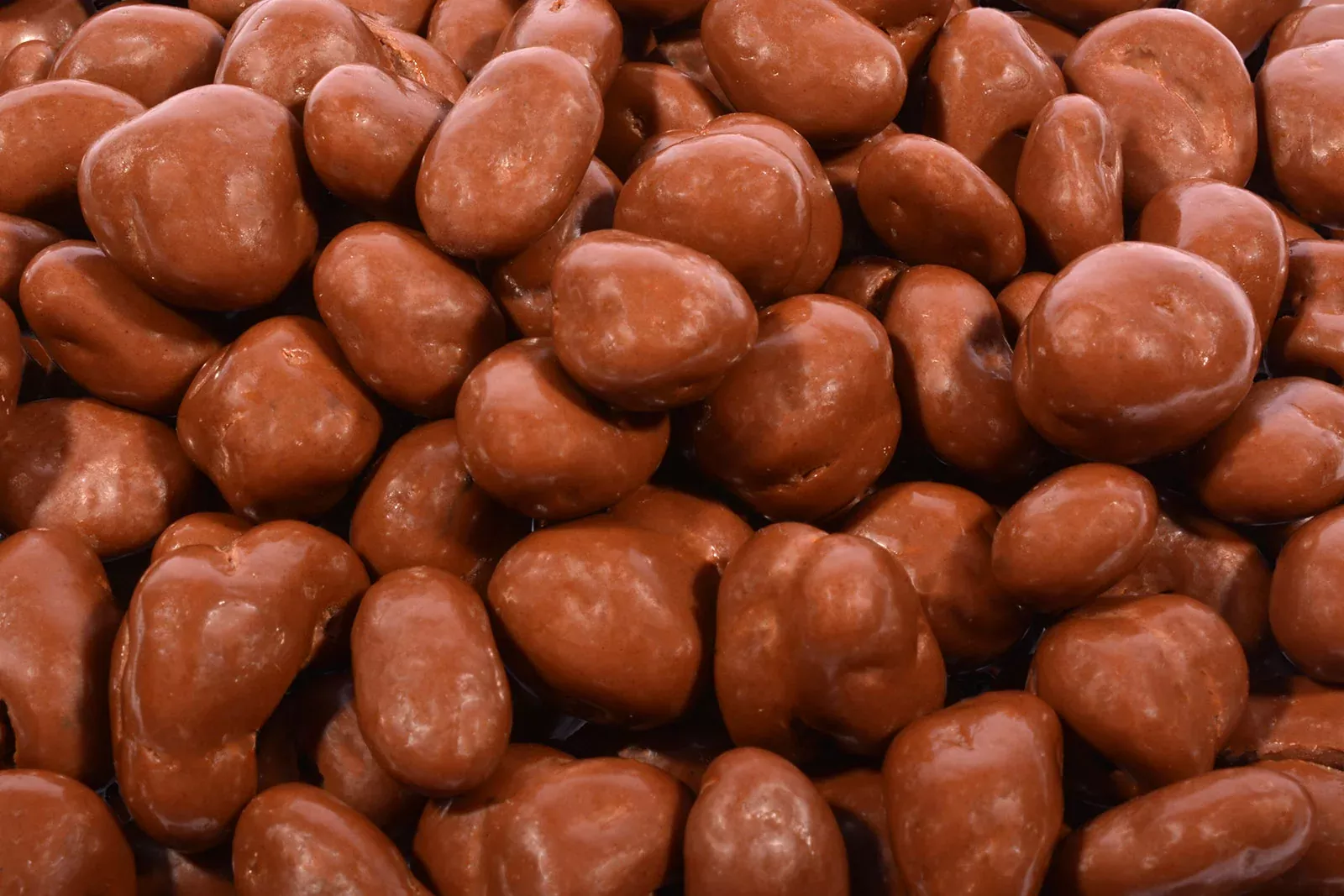 Chocolate Covered Raisins-Half Pound