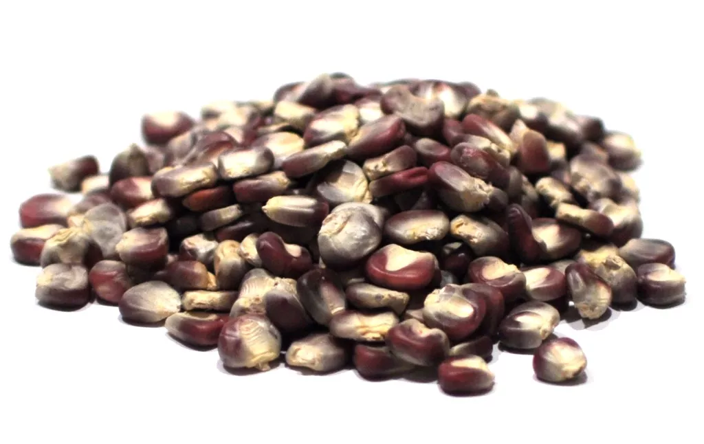 Corn, Red