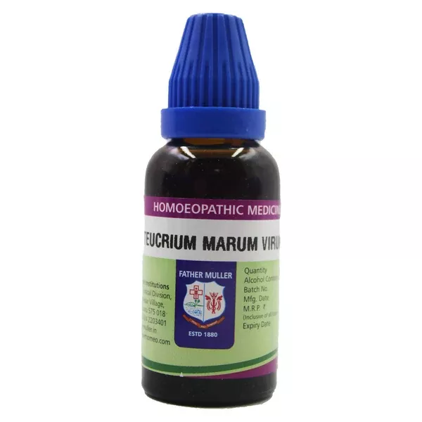 Father Muller Teucrium Marum Virum Mother Tincture Q - 30 ml