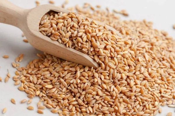 Grammy's Whole Wheat - 1 kg