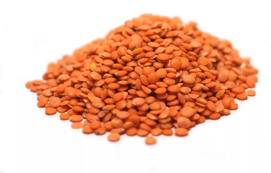 Lentils, Red