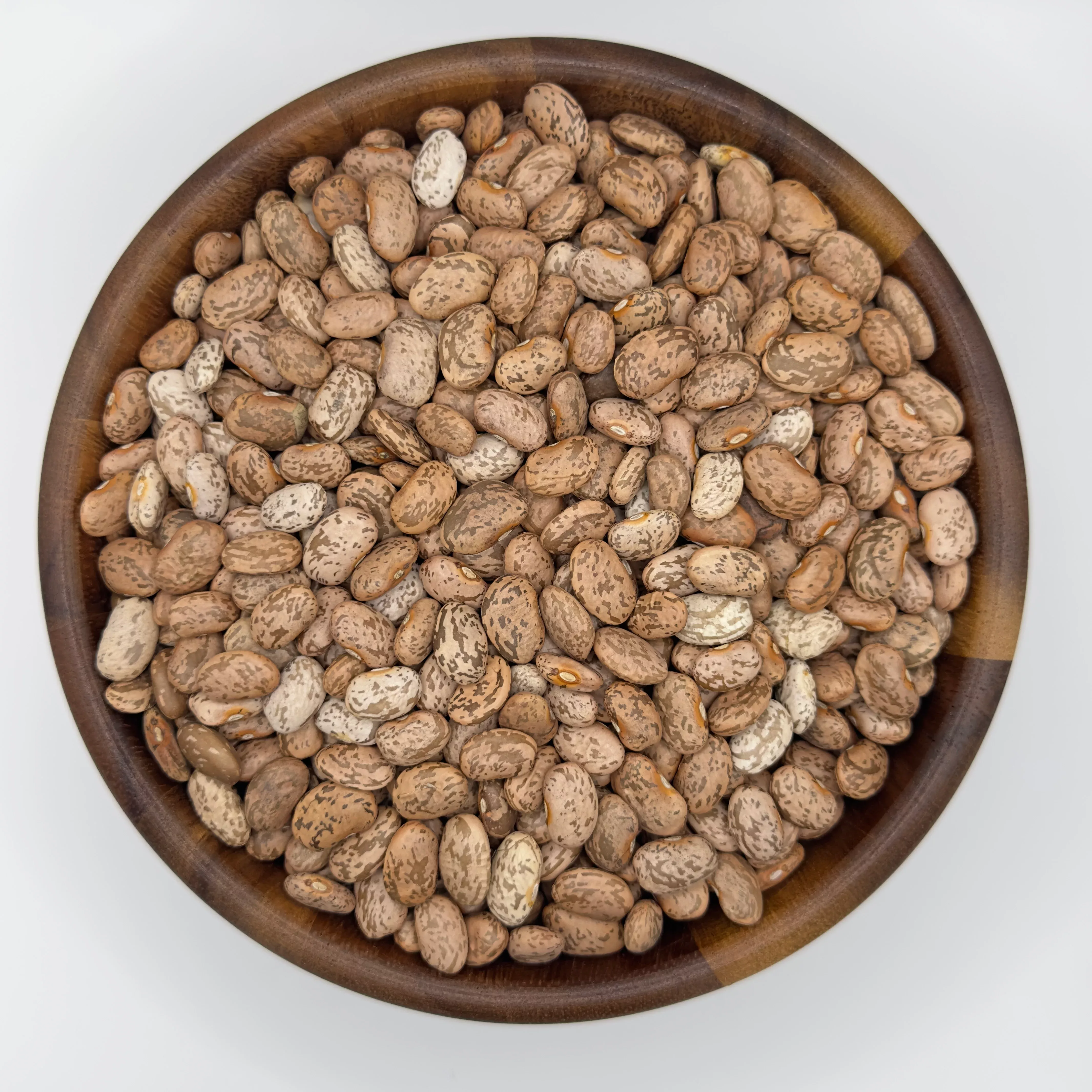 Organic Pinto Beans