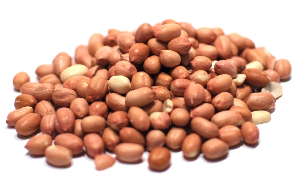 Peanut, Raw Skin On