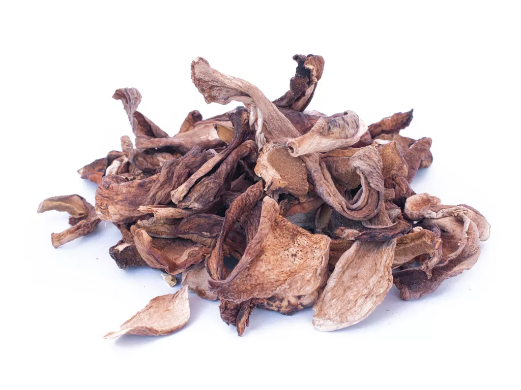 Porcini A Mushrooms