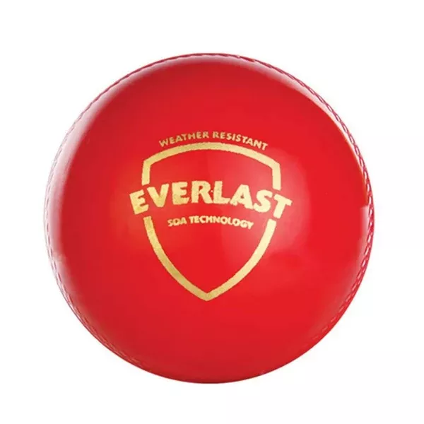 SG Everlast Leather Cricket Ball - Red
