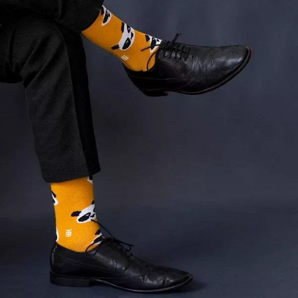 Socksoho Luxury Men Socks Kawaii Panda