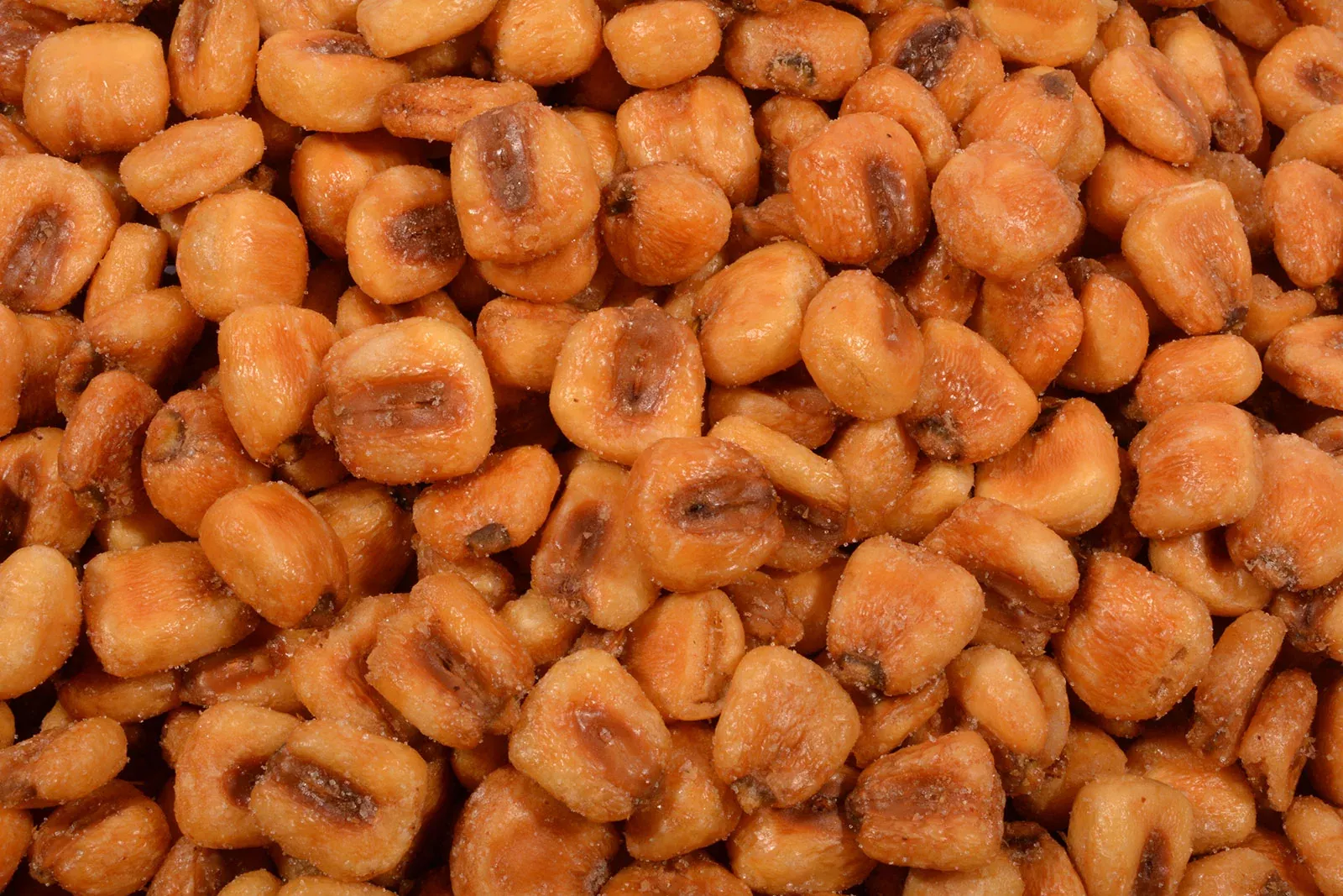 Toasted Corn Kernels, Large (Roasted/Salted)-1 lb.