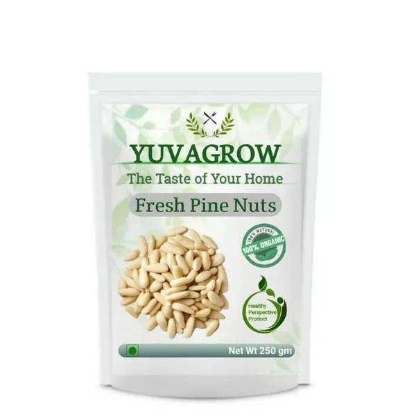 Yuvagrow Fresh Pine Nuts - 250 gm